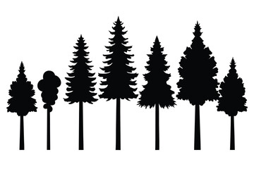 Fototapeta premium Silhouette of Pine Trees and Deciduous Tree Against White Backdrop, Forest Illustration Graphic