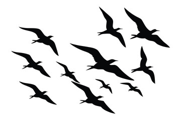 Silhouetted Birds Soaring A Flock of Terns in Flight Against White Background