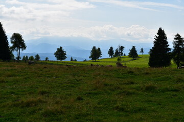 Sch&ouml;ne Landschaft mit Bergen am Jenesier J&ouml;chl in S&uuml;dtirol 
