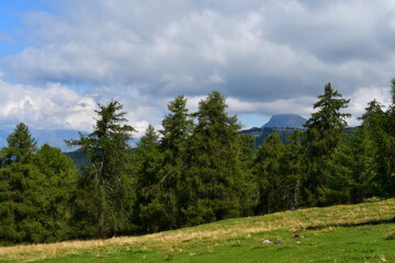 Schöne Landschaft am Jenesier Jöchl in Südtirol 