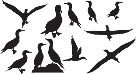 Set of various cormorant bird silhouettes, including flying, standing, and swimming poses, perfect for wildlife and nature designs