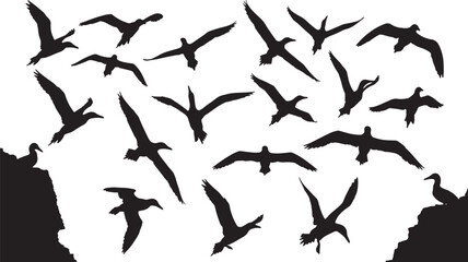 Fototapeta premium Group of albatross birds flying in a variety of poses, a great graphic for nature, and wildlife designs