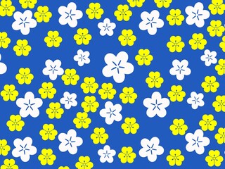 White and yellow flowers with blue background 