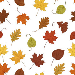 Fototapeta premium Autumn leaves pattern with various shapes and colors isolated on transparent background