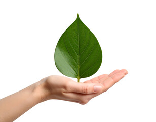 A human hand gently cradles a vibrant green leaf, symbolizing growth, nature, and environmental care.