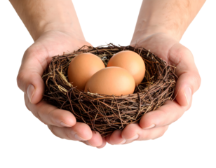 Hands gently cradle a delicate bird's nest with three precious eggs, symbolizing care and new beginnings.