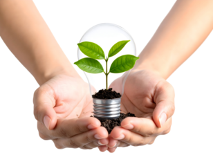Hands carefully hold a light bulb with a thriving green plant inside, representing eco-friendly innovation and sustainable growth.