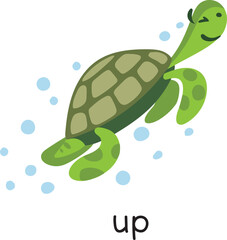 Prepositions. Turtle is moving UP