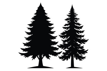 Two Evergreen Tree Silhouettes Forest Nature, Conifer Trees, Illustration, Simple Design