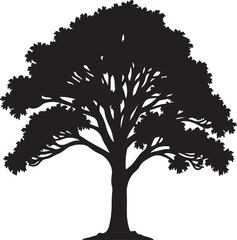 tree with roots and vector tree silhouette with white background