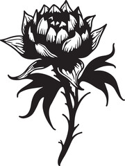 black and white rose and black and white flowers with white background