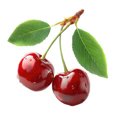 Two ripe cherries with leaves (4)