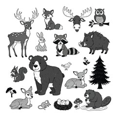Fototapeta premium Charming woodland creatures set realistic artistic rendering of forest animals for whimsical designs silhouette