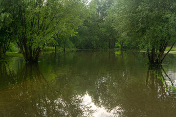 landscape of flooded park after heavy rain