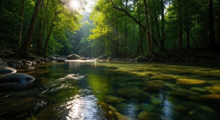 Tranquil Morning Sunburst Over a Clear, Rocky River in a Dense Forest