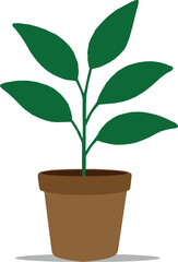 Small Green Potted Houseplant in Brown Pot on Isolated White Background