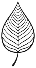 Black and white illustration of a leaf, ideal for design, botany, and nature themes.
