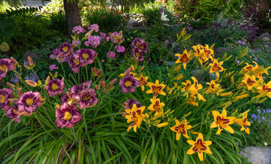flowers in the garden