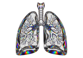 A transparent, detailed artistic representation of the lungs, showcasing intricate bronchial structures and vibrant iridescent reflections.