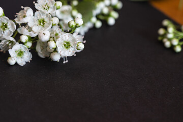 The picture shows white flowers that symbolize the theme of funerals and condolences.
