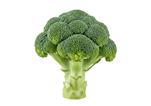 A vibrant head of broccoli, brightly lit and displayed against a pure black background, showcases its intricate green structure.