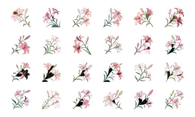 Colorful Vector Illustration Set of Flowers – Hibiscus, Orchid, Daisy, Cherry Blossom, Lily, Botanical Floral Collection, Decorative Bloom Clipart, Hand Drawn Elegant Flower Design Elements for Nature