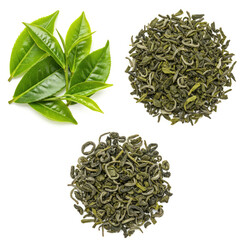 Green Tea Leaves On Clean White Background