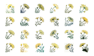 Colorful Vector Illustration Set of Flowers – Hibiscus, Orchid, Daisy, Cherry Blossom, Lily, Botanical Floral Collection, Decorative Bloom Clipart, Hand Drawn Elegant Flower Design Elements for Nature