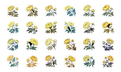 Fototapeta premium Colorful Vector Illustration Set of Flowers – Hibiscus, Orchid, Daisy, Cherry Blossom, Lily, Botanical Floral Collection, Decorative Bloom Clipart, Hand Drawn Elegant Flower Design Elements for Nature