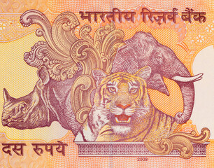 10 Rupees of India with the image of an Elephant, Rhinoceros and Tiger. Paper money of India.