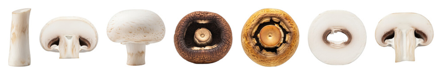 Button and portobello mushroom set including whole, halved, and stem forms isolated. Healthy cooking ingredient collection. © PixeloAI