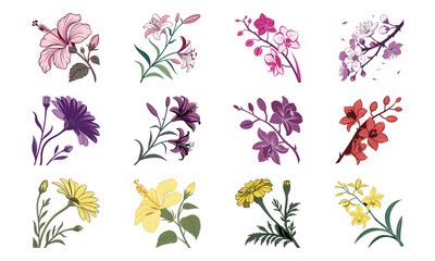 Colorful Vector Illustration Set of Flowers – Hibiscus, Orchid, Daisy, Cherry Blossom, Lily, Botanical Floral Collection, Decorative Bloom Clipart, Hand Drawn Elegant Flower Design Elements for Nature