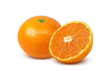 みかん イラスト リアル 白バック