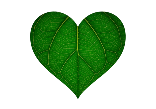A vibrant green leaf, meticulously detailed, takes the shape of a heart, highlighting its intricate vein structure against a stark black background.