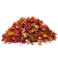 watercolor of Autumn Leaves Ground Cover, vector, isolated on a white background.