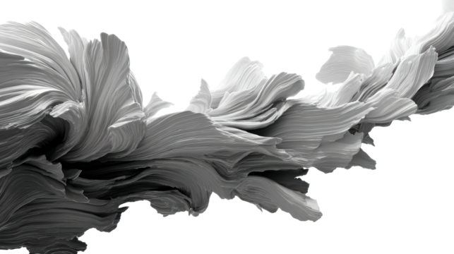 Flowing Abstract Form with Layered Texture and Monochrome Tones