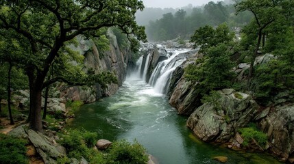 Obraz premium A powerful waterfall cascades down rocks in a lush green forest, surrounded by trees and creating a serene natural landscape