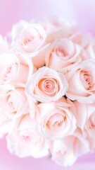 Close-up of delicate pastel roses