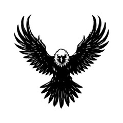 Fototapeta premium eagle with wings