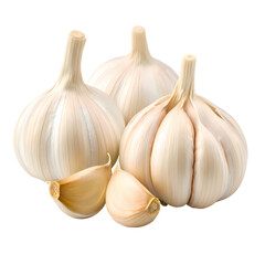 Obraz premium Three garlic bulbs and cloves isolated on transparent background in studio shot