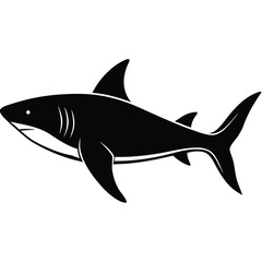 Obraz premium Silhouette of a great white shark swimming isolated on white background