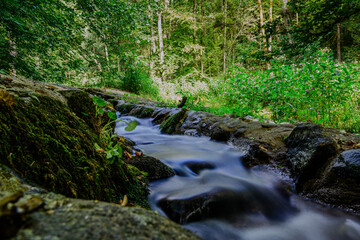 Obraz premium Klares Wasser fließt sanft über moosbedeckte Steine in einem ruhigen Waldgebiet