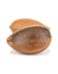 Close-up of two seeds