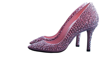 fashionable women shoe