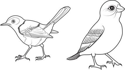 Black and White Outline of Two Birds — Hand-Drawn Vector Illustration