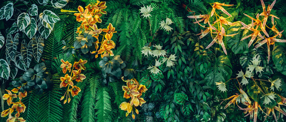 Close up group of background tropical green leaves texture and abstract background. Tropical leaf nature concept.
