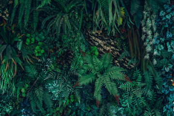 Close up group of background tropical green leaves texture and abstract background. Tropical leaf nature concept.