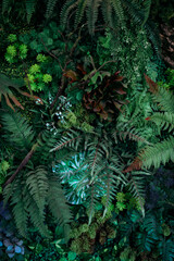 Close up group of background tropical green leaves texture and abstract background. Tropical leaf nature concept.