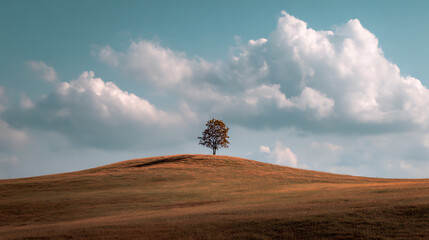 Lonely tree on a grassy hill under a blue sky with fluffy clouds in the afternoon sunlight