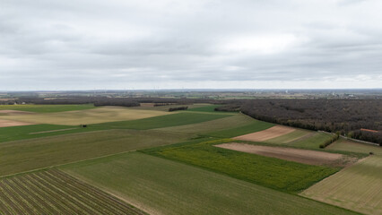 Aerial View of Diverse Agricultural Landscape with Forest Border